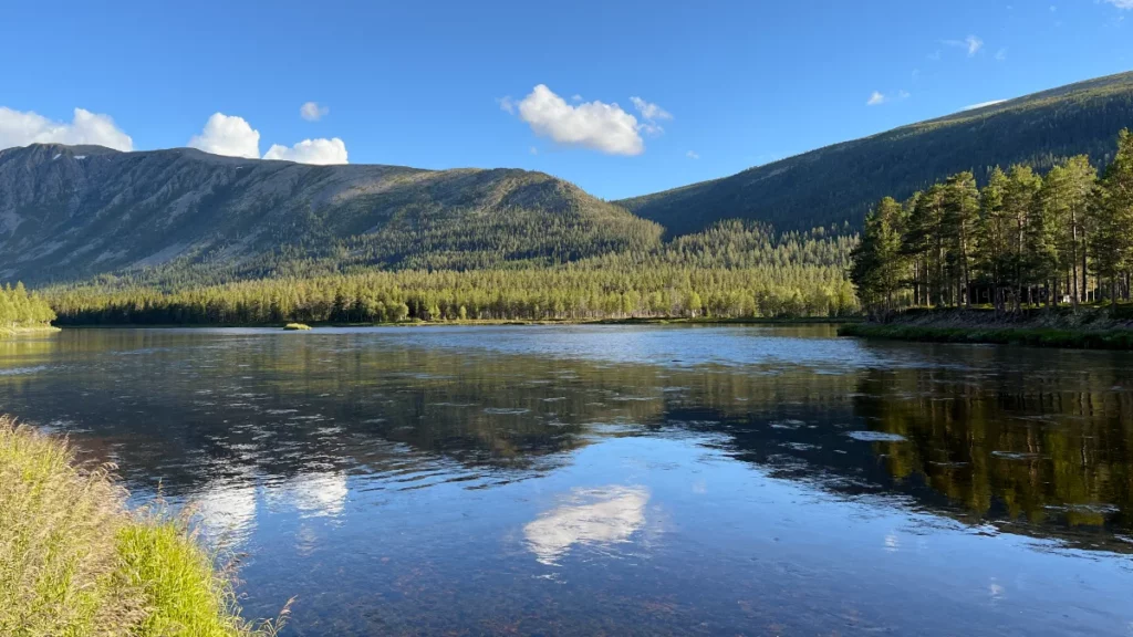 Séjour de pêche en Norvège sur la Trysilaelva