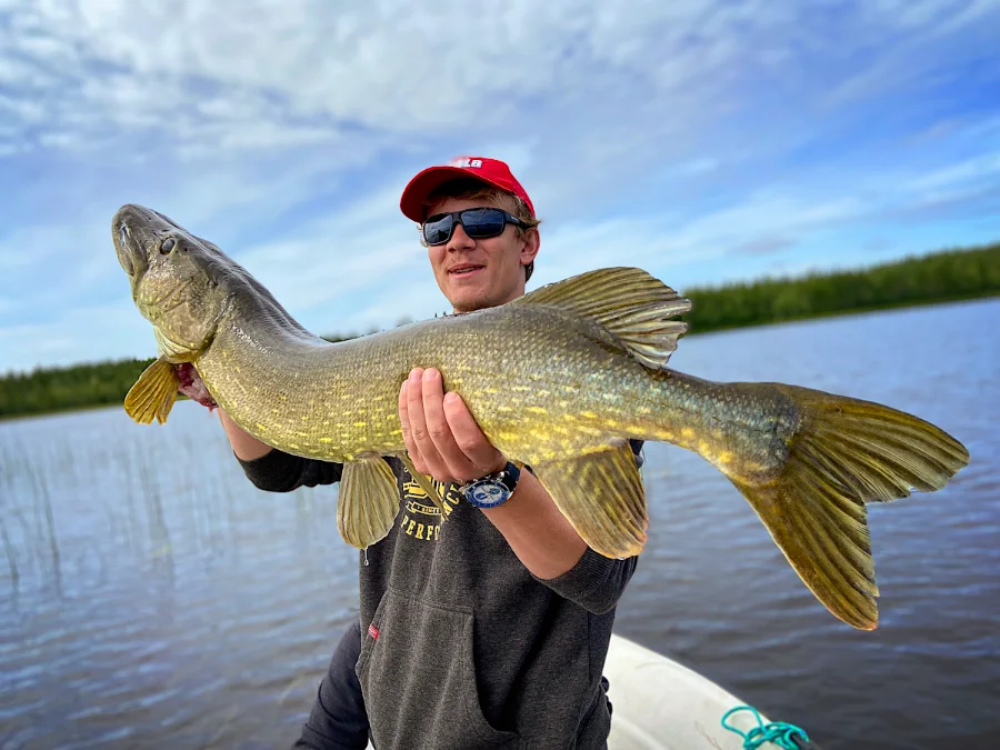 Séjours de pêche en Suède