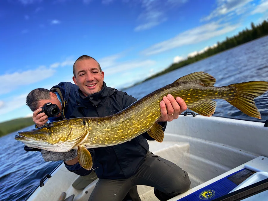 Souvenirs de pêche en Laponie suédoise