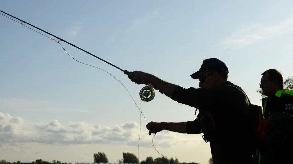 Stage brochet mouche