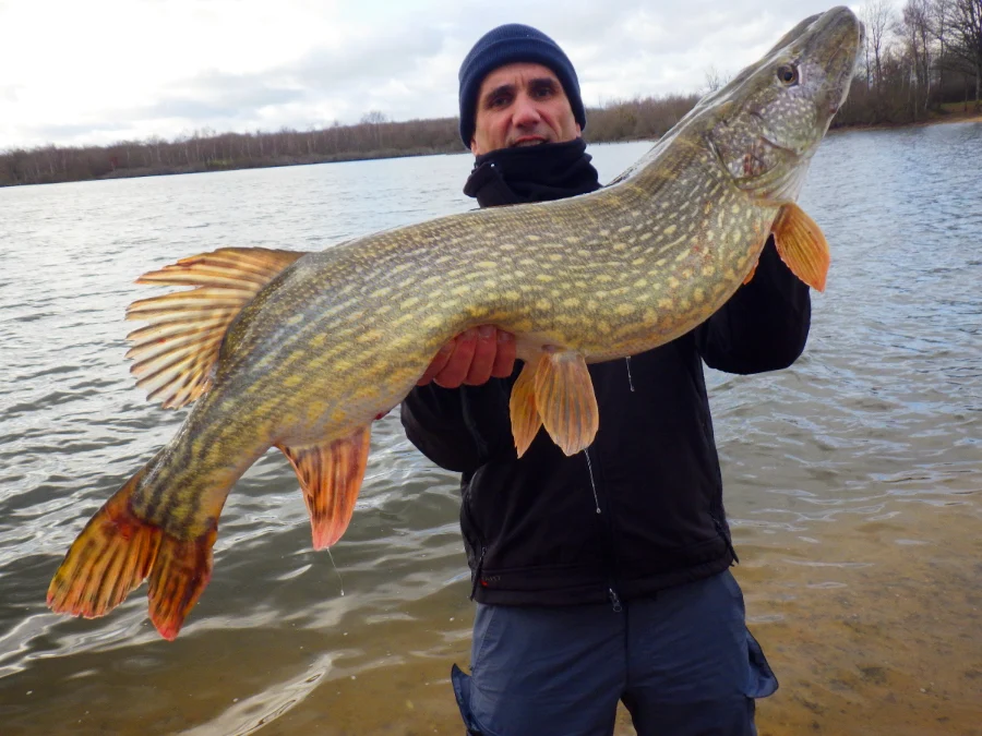 Stage de pêche au brochet aux leurres