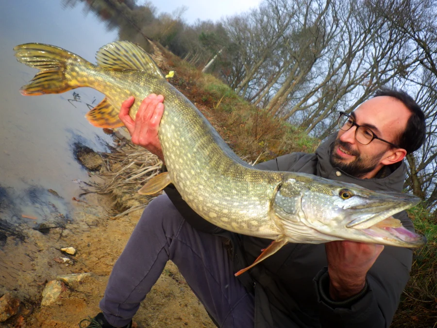 Stage de pêche au brochet en Avergne