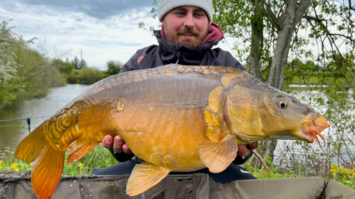 Stage de pêche moderne de la carpe