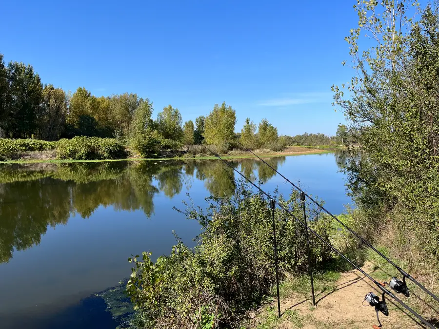 Stage de pêche pour carpiste