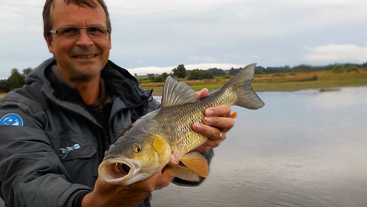 Stage de pêche street fishing