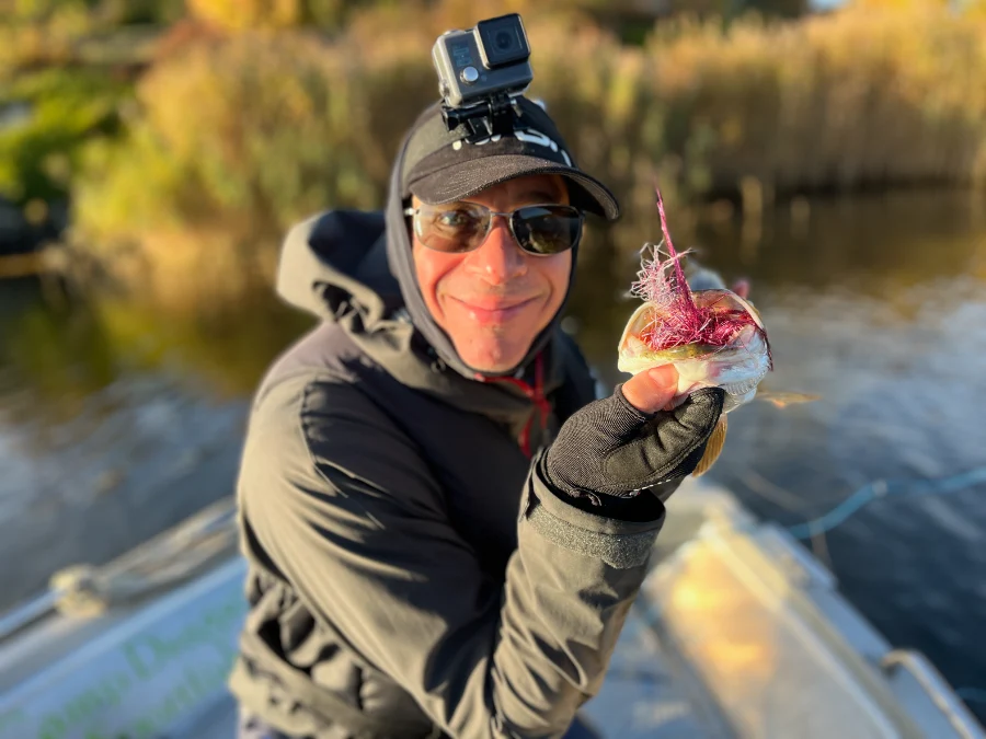 Streamer dans la gueule d'un brochet