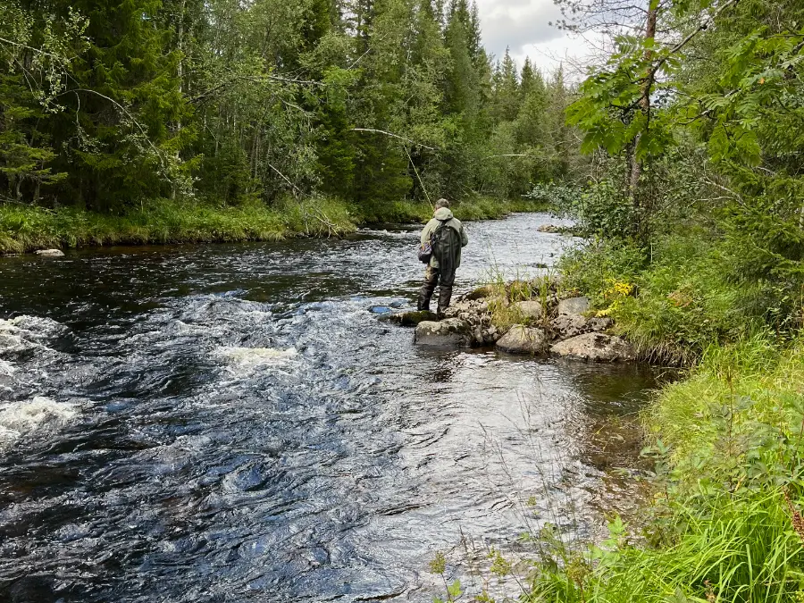 Truite au leurre en Norvège