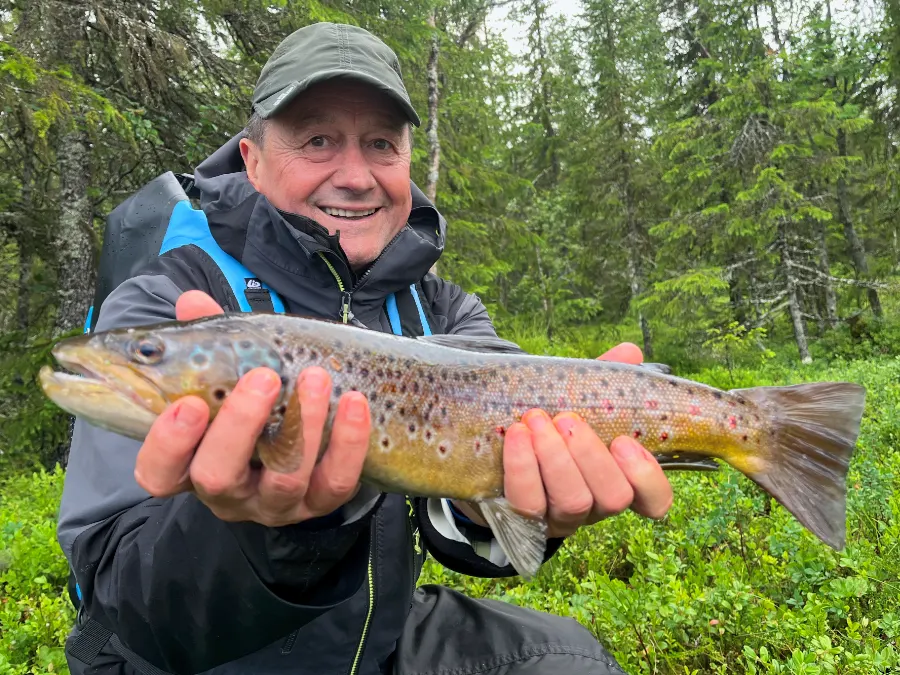 Truite de Norvège au Finnmark