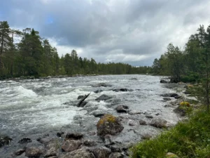 Zone amont de la rivière Trysilaelva