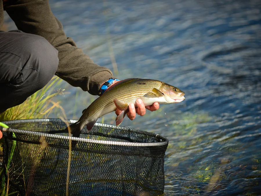 initiation pêche en nymphe