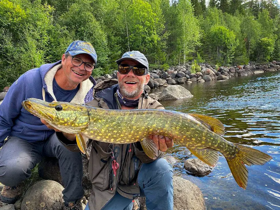Manu BIZEL guide de pêche en Laponie