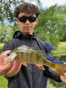 temoin3-streetfishing