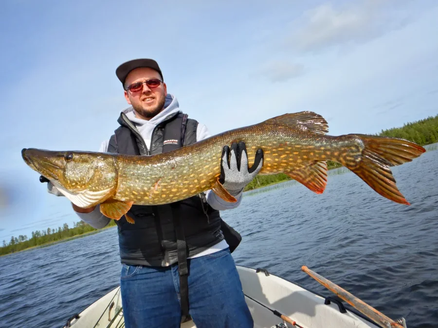 Brochet de 118 en Laponie pour Michel