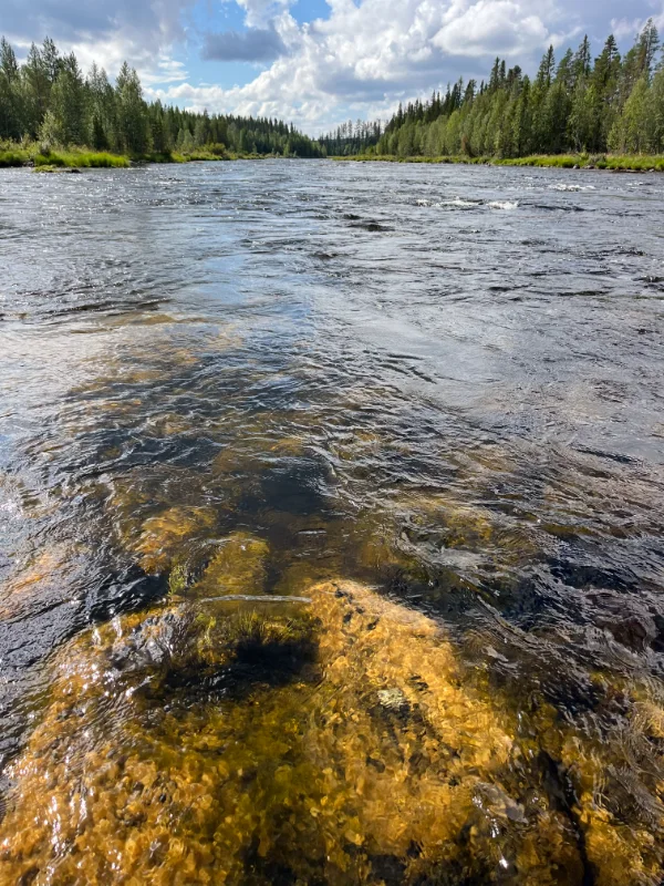 Destination Laponie suédoise sur la rivière Vojmån