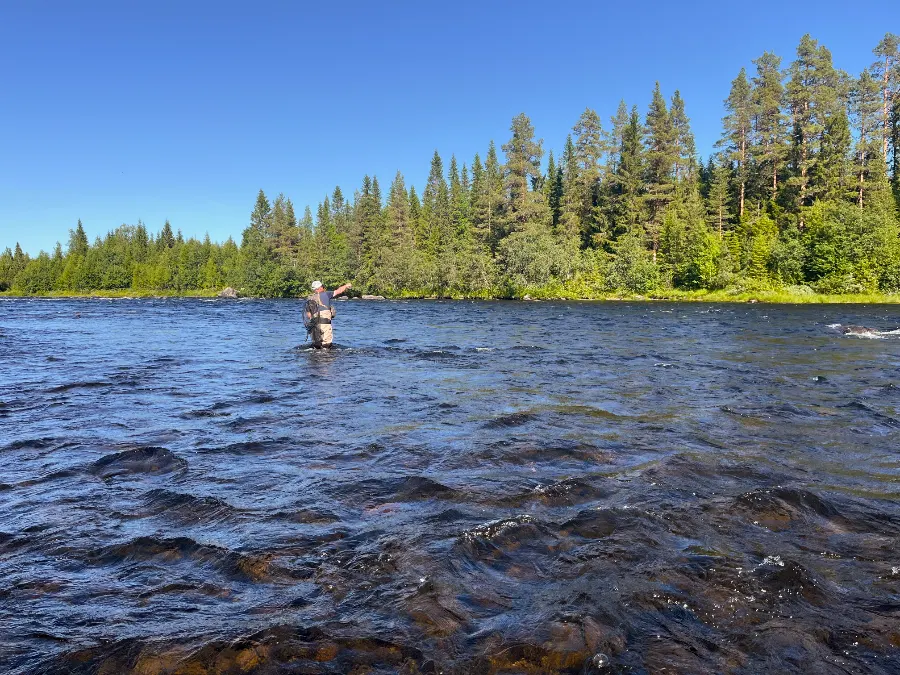 La Vojmån en juillet
