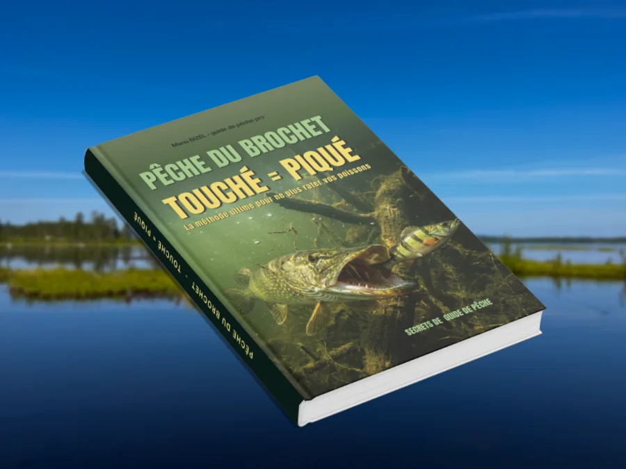 Livre brochet Touché Piqué