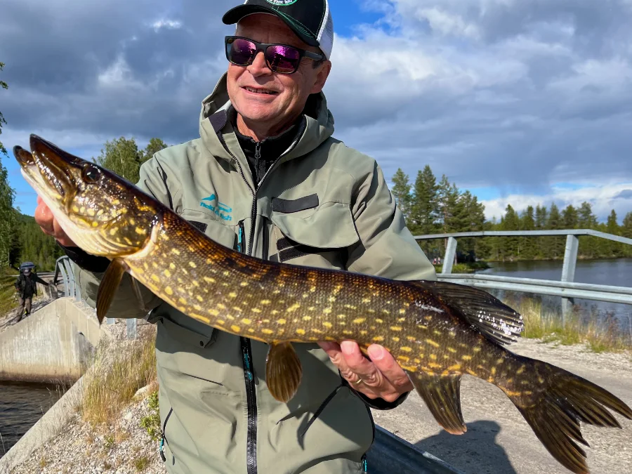 Ouverture du brochet