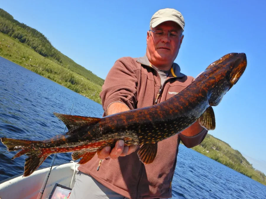Témoignage de Patrick, pêche en Laponie suédoise