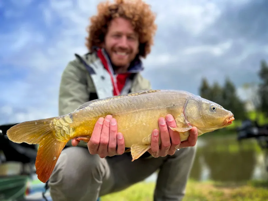 Pêche de la carpe au method feeder