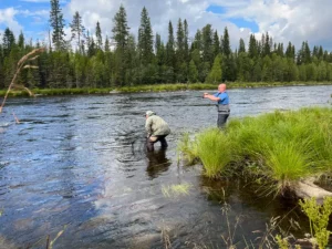 Pêche intensive en rivière de Scandinavie