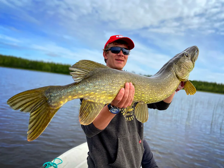 Séjour de pêche en Laponie