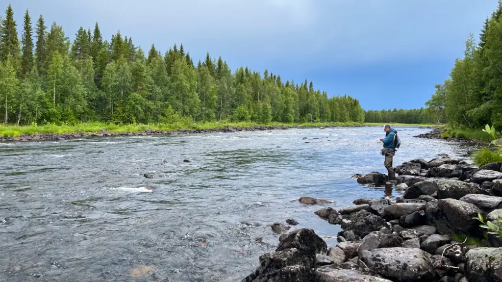 Séjour de pêche en Suède sur la Vojmån