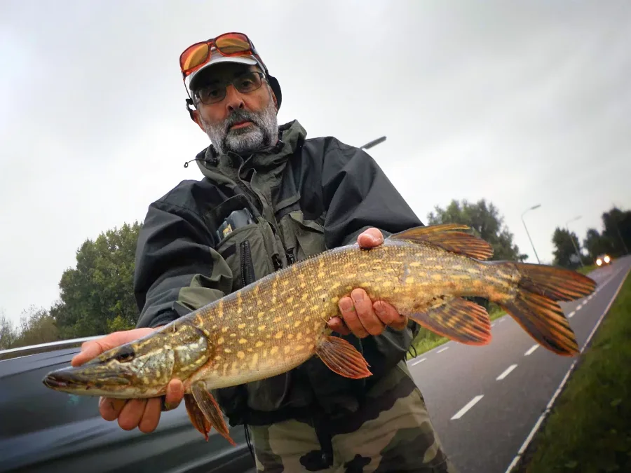Témoignage de Laurent, pêche en Hollande